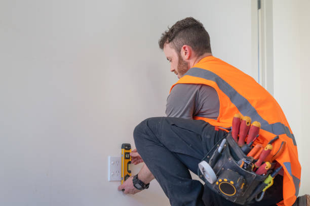 Best Electrician for Home Renovation  in Southmayd, TX