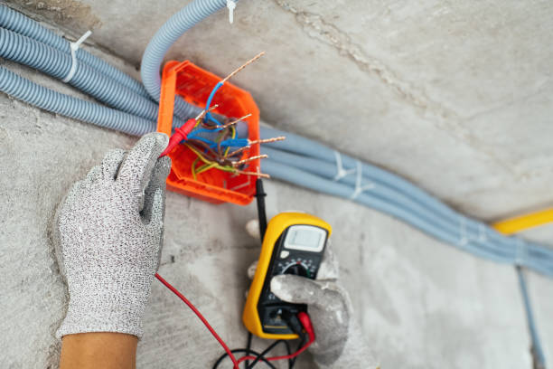 Best Electric Panel Repair  in Southmayd, TX
